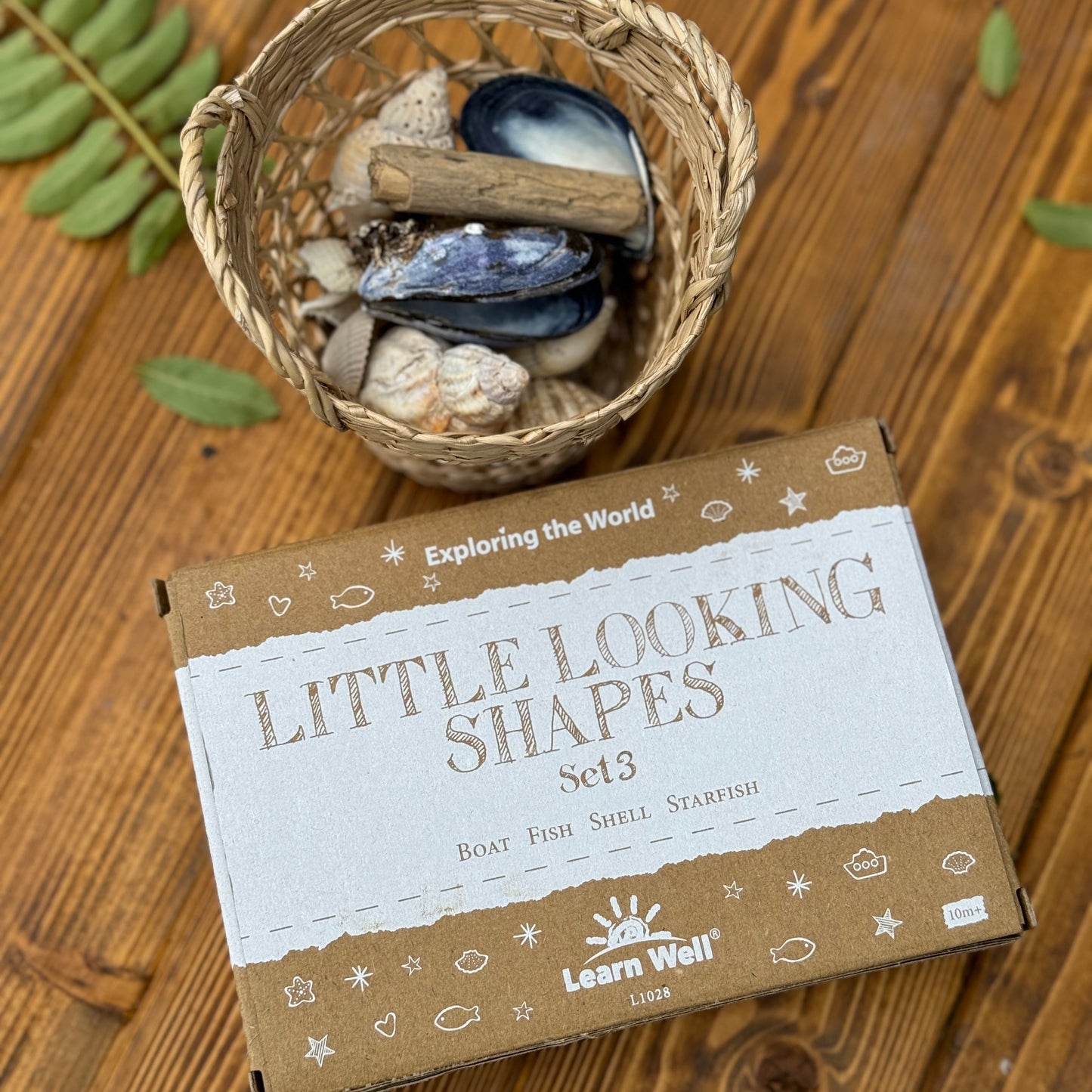 Box labeled 'Little Looking Shapes' with natural items on a wooden surface