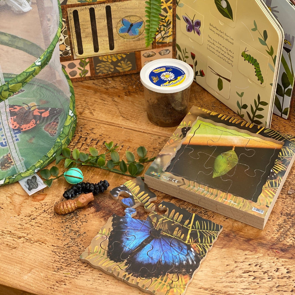 Butterfly Life Cycle Layered Puzzle