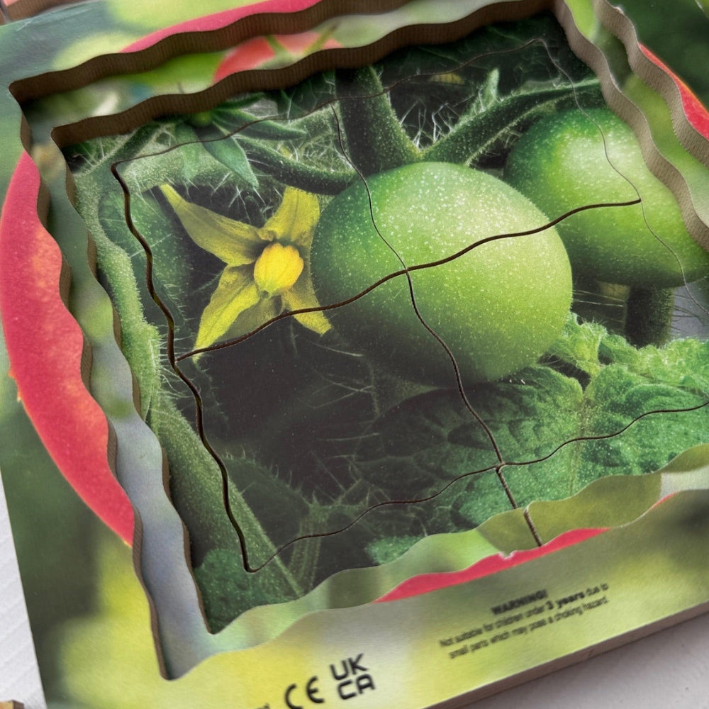 Tomato Life Cycle Layered Puzzle