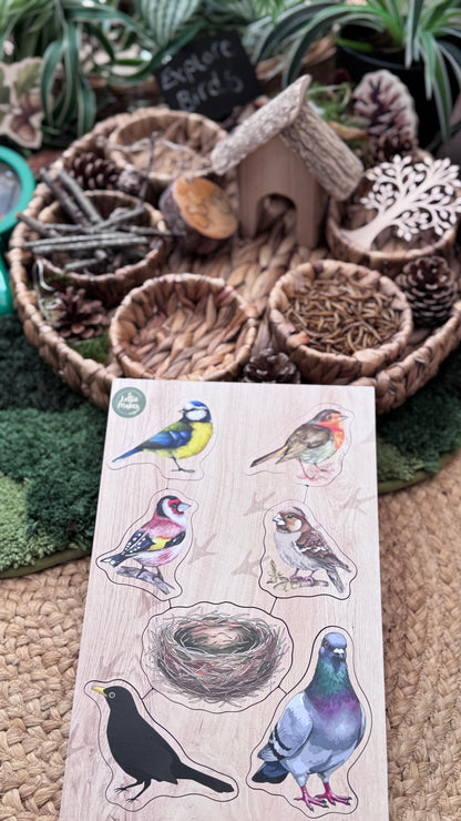 British Birds Peg Puzzle and Small World Play Pieces