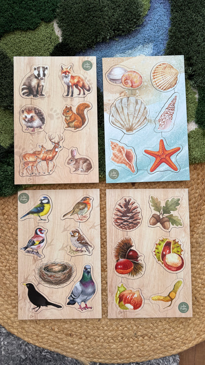 British Birds Peg Puzzle and Small World Play Pieces