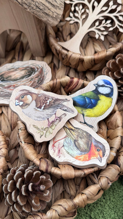 British Birds Peg Puzzle and Small World Play Pieces