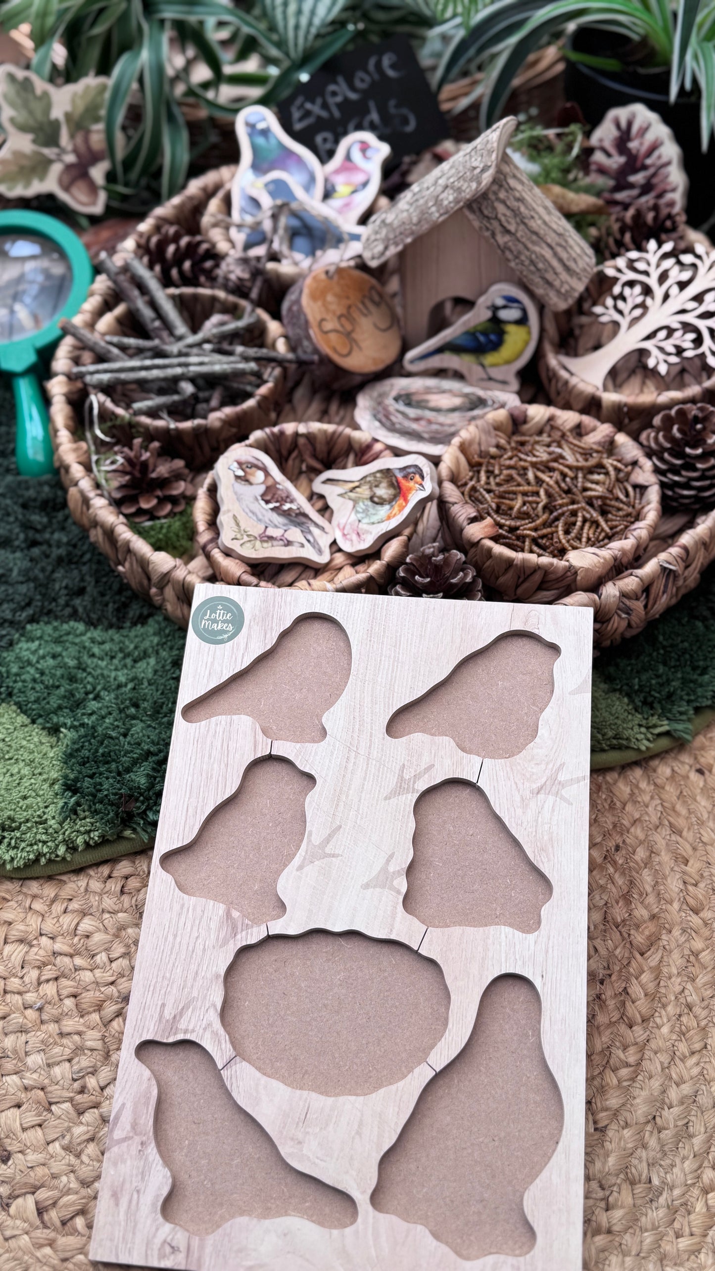 British Birds Peg Puzzle and Small World Play Pieces