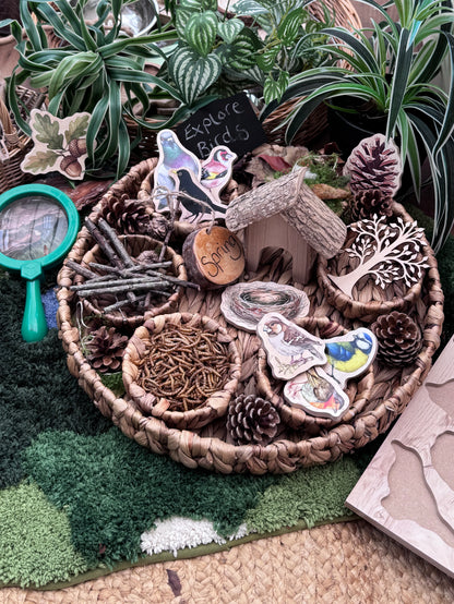 British Birds Peg Puzzle and Small World Play Pieces