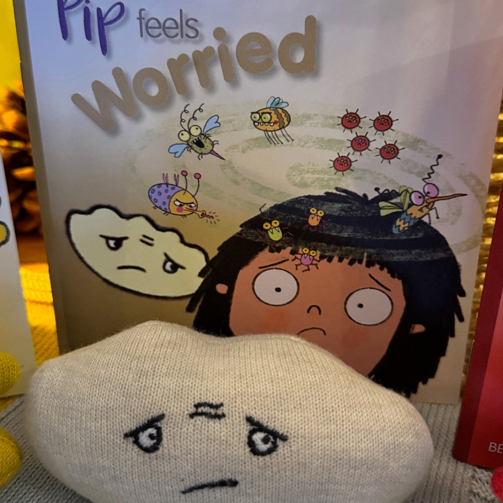 Plush toy with a sad face next to a book titled 'Pip feels Worried' on a yellow background.