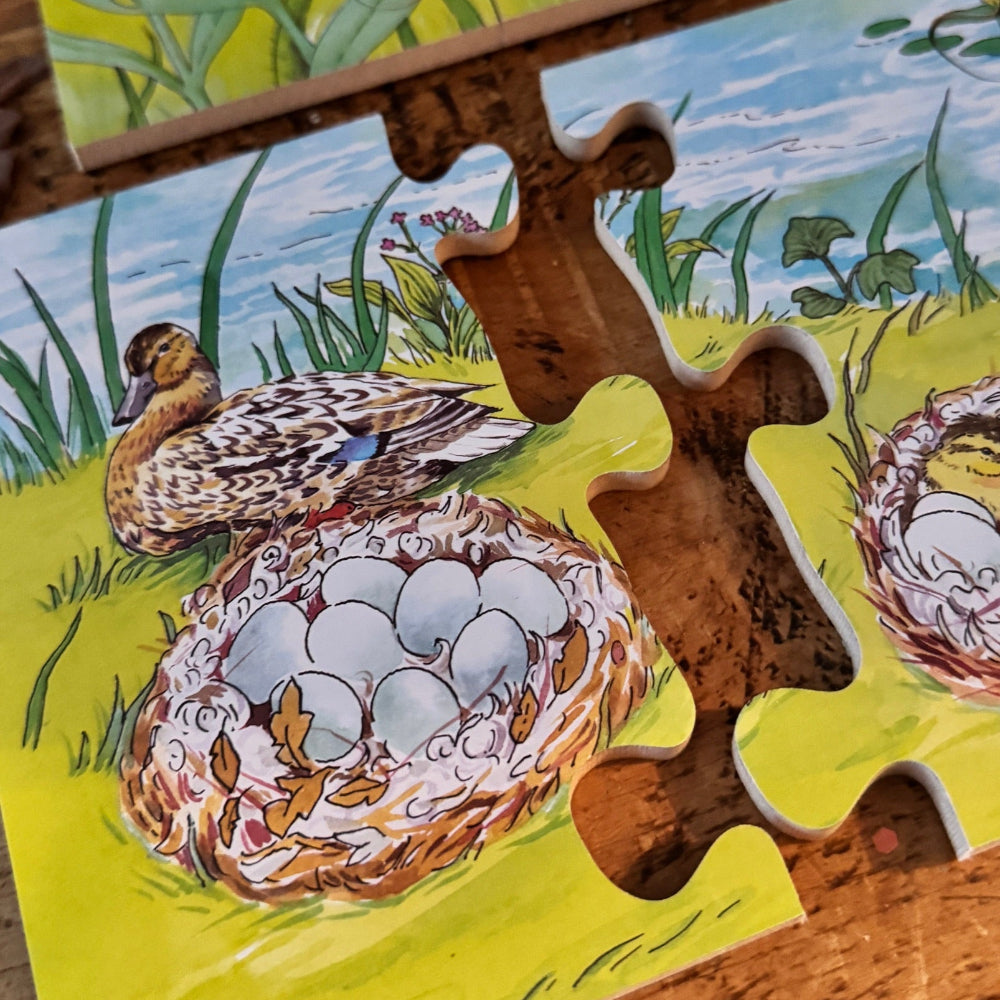 Life cycles wooden jigsaw puzzle set - duck eggs