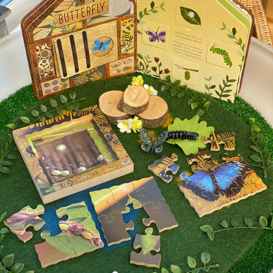 Butterfly Life Cycle Layered Puzzle