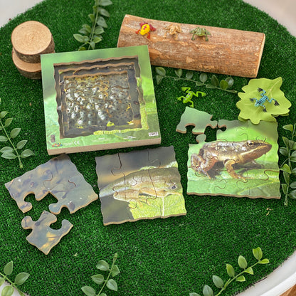 Frog Life Cycle Layered Puzzle