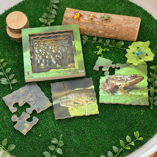 Frog Life Cycle Layered Puzzle