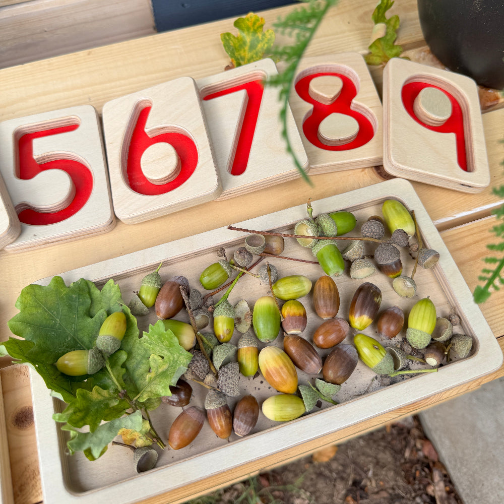 Wooden number trays for maths mastery with acorns on a wooden surface - counting skills