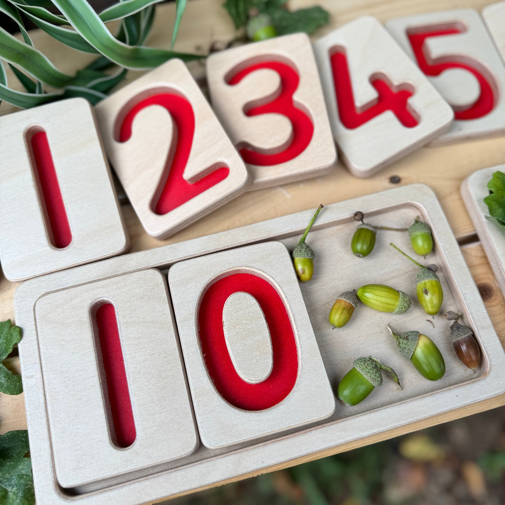 Wooden number trays for maths mastery with acorns on a wooden surface - counting skills
