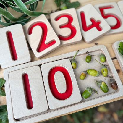 Wooden number trays for maths mastery with acorns on a wooden surface - counting skills