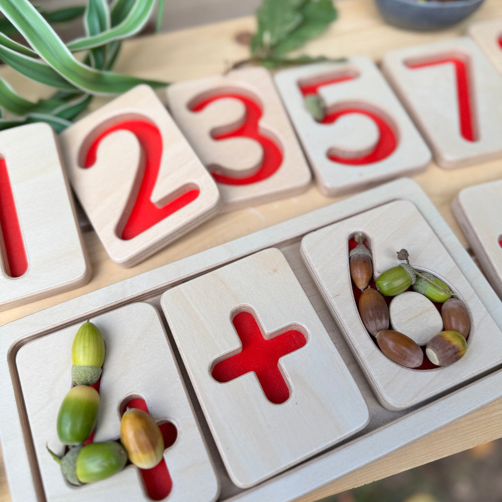 Wooden number trays for maths mastery with acorns on a wooden surface - counting skills