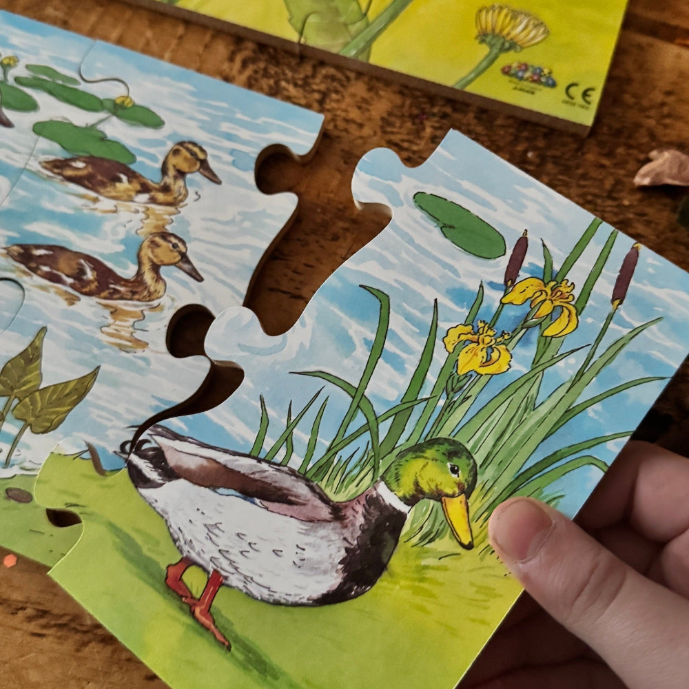 Life cycles wooden jigsaw puzzle set - Ducks