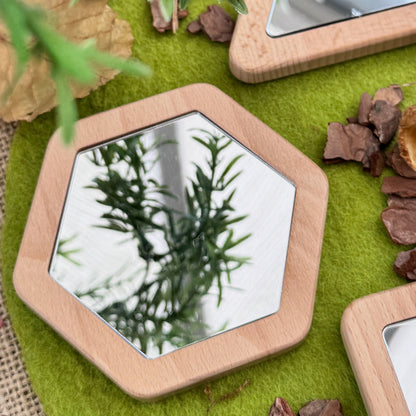 Hexagonal mirrors with wooden frames on a green surface with plants and natural elements.