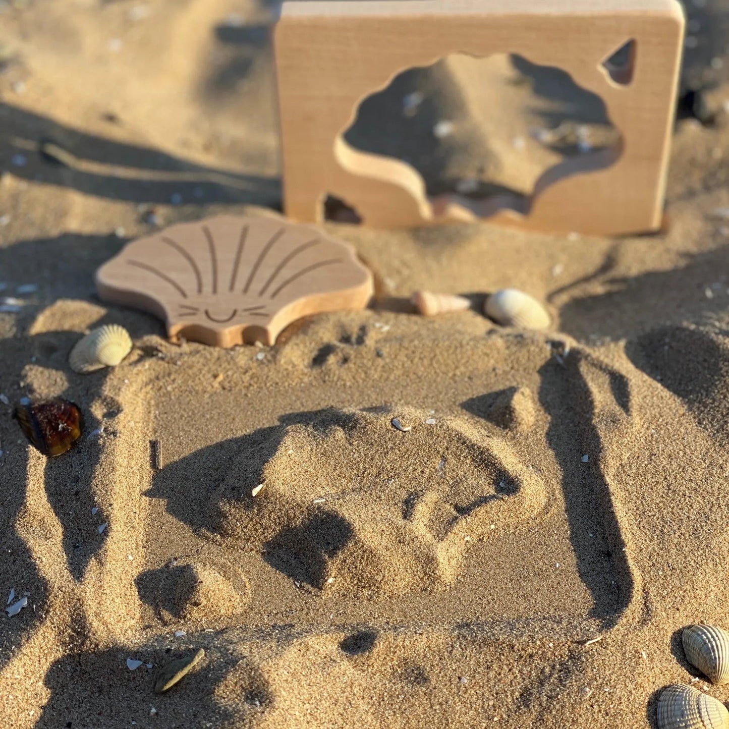 Wooden Shell shape with shell design on a sandy surface with shells.