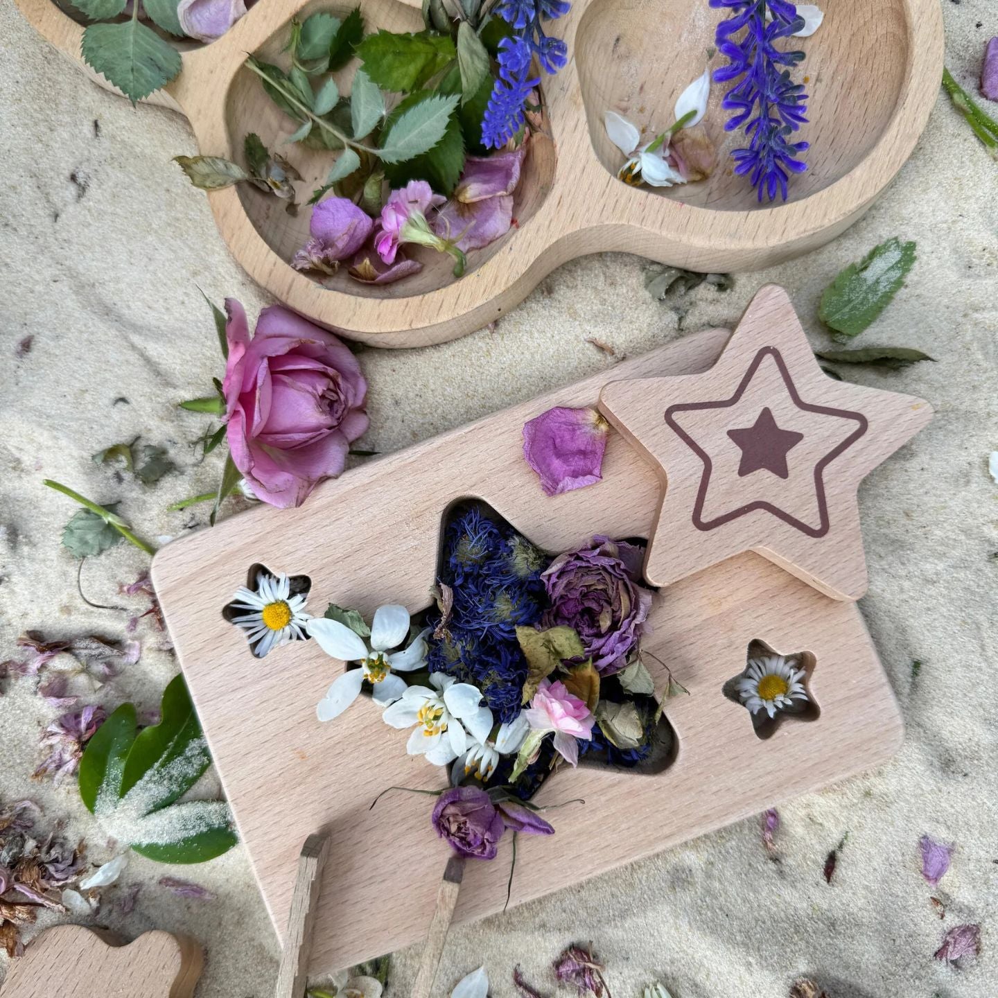 Little Looking Shapes - Set 1