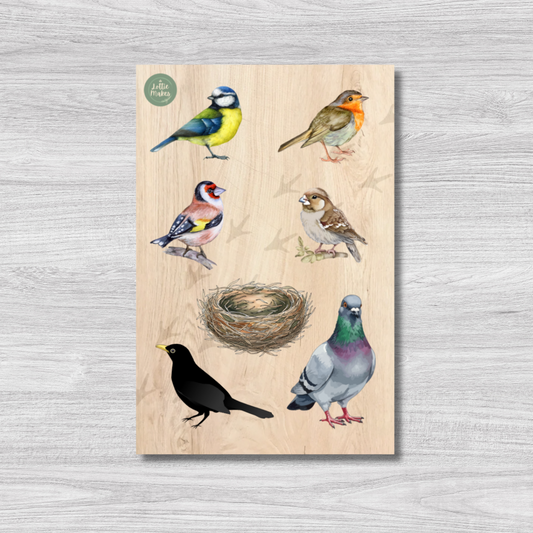 British Birds Peg Puzzle and Small World Play Pieces