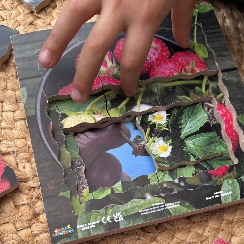 Strawberry Life Cycle Layered Puzzle