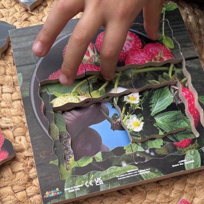 Strawberry Life Cycle Layered Puzzle
