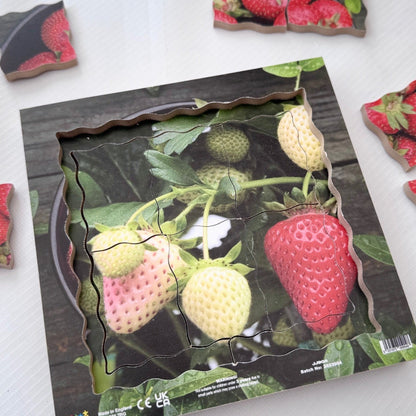 Strawberry Life Cycle Layered Puzzle