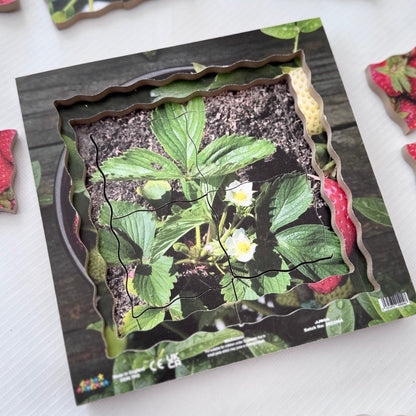 Strawberry Life Cycle Layered Puzzle