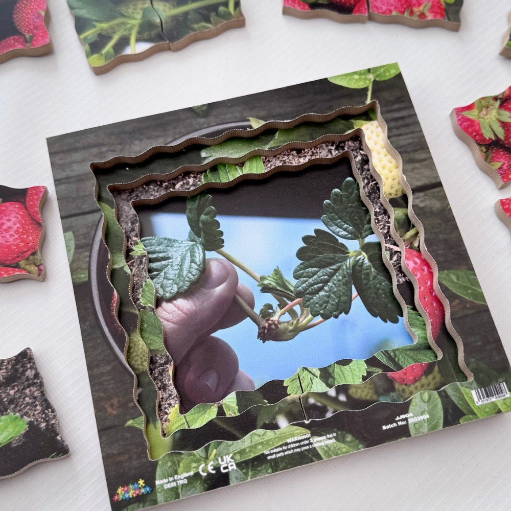 Strawberry Life Cycle Layered Puzzle