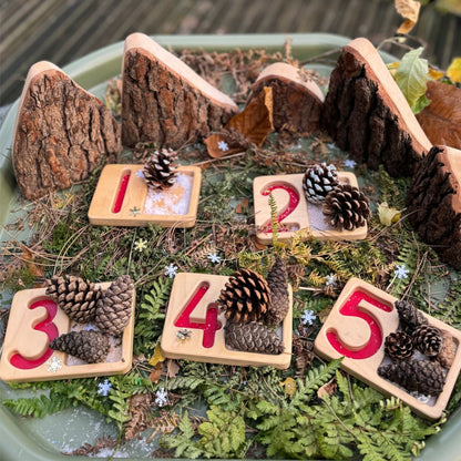 Wooden Number Trays 1-9