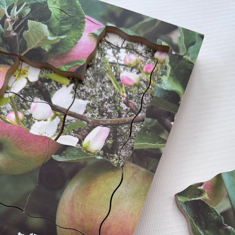 Apple Life Cycle Layered Puzzle