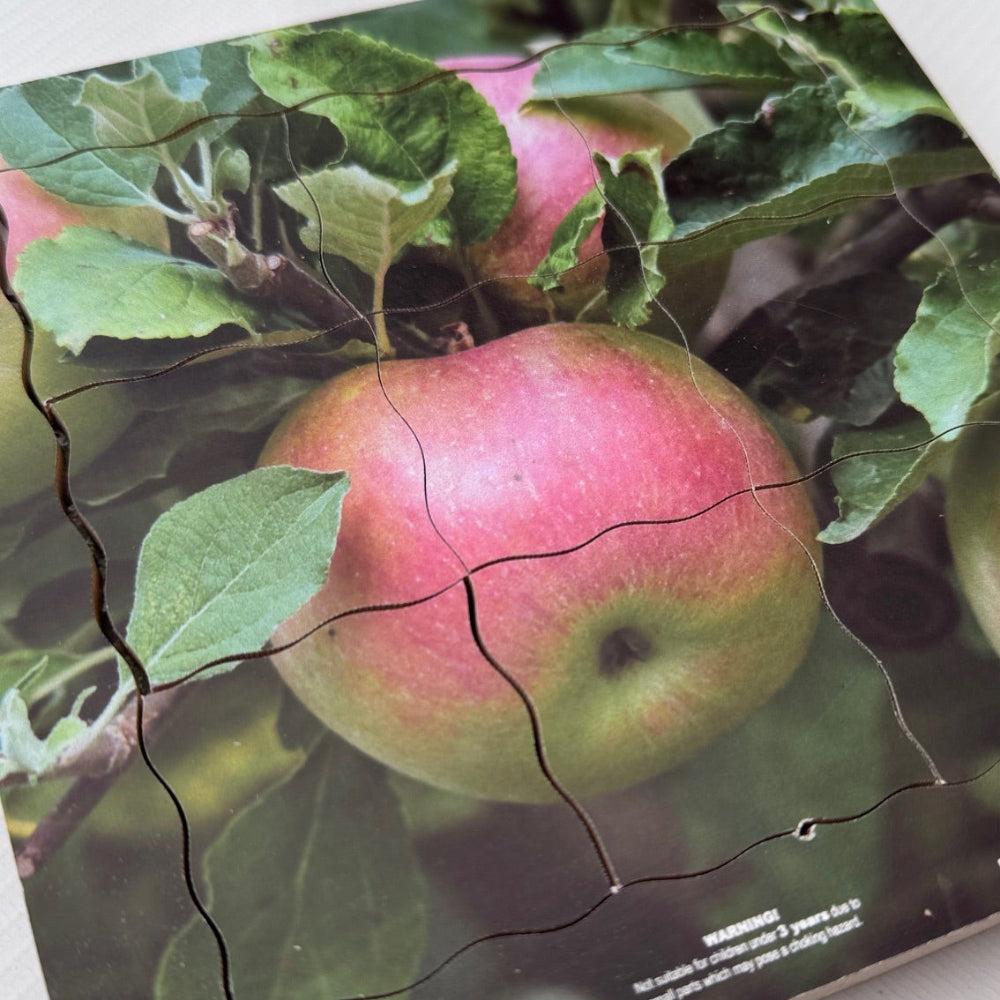Apple Life Cycle Layered Puzzle