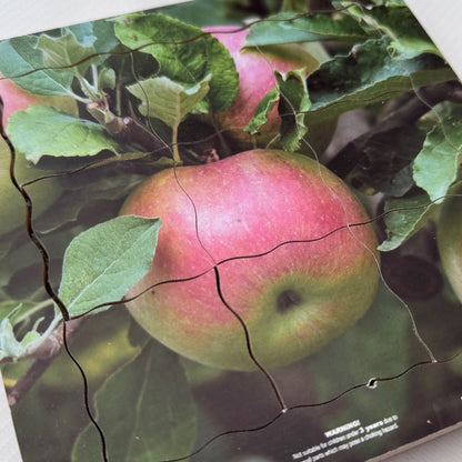 Apple Life Cycle Layered Puzzle