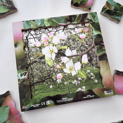 Apple Life Cycle Layered Puzzle