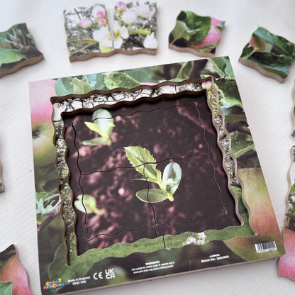 Apple Life Cycle Layered Puzzle