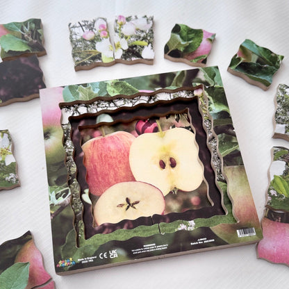 Apple Life Cycle Layered Puzzle
