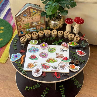 Wooden Peg Puzzles