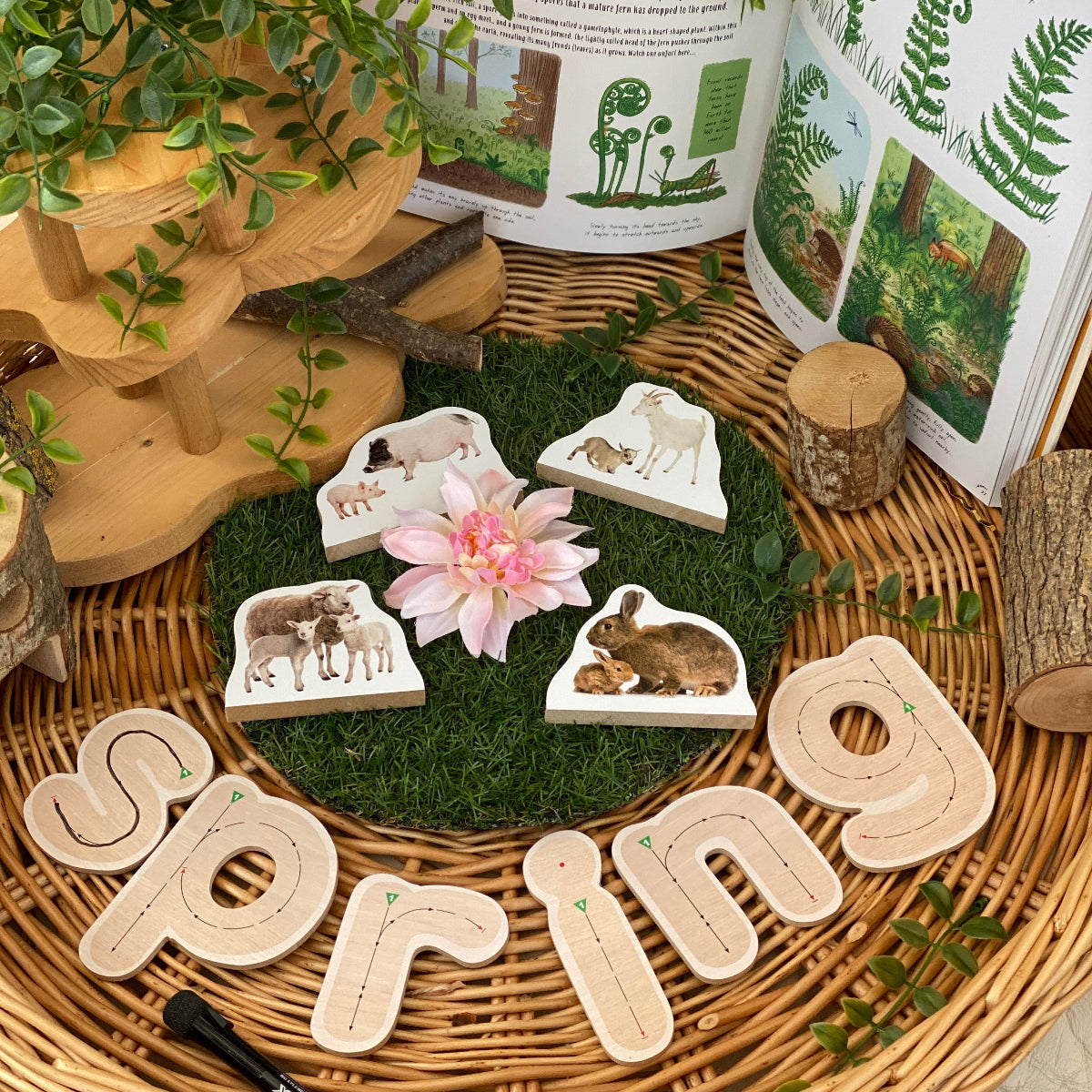 Wooden animal figurines on a spring-themed display with plants and books.