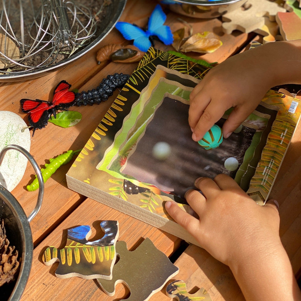 Butterfly Life Cycle Layered Puzzle