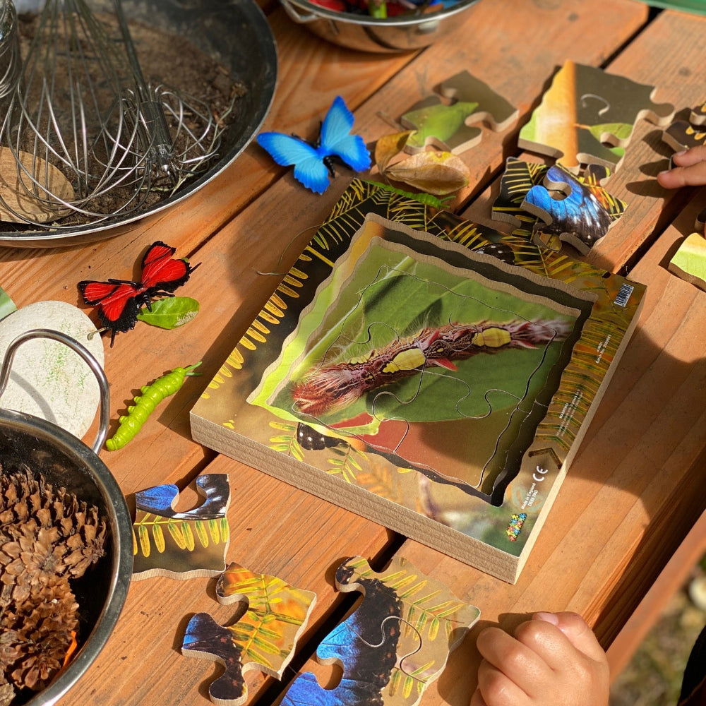 Butterfly Life Cycle Layered Puzzle