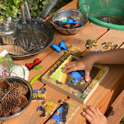 Butterfly Life Cycle Layered Puzzle