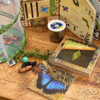Butterfly Life Cycle Layered Puzzle