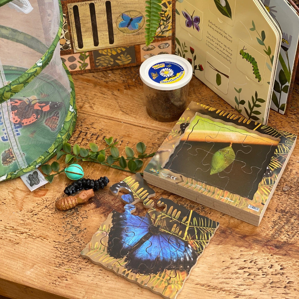 Butterfly Life Cycle Layered Puzzle