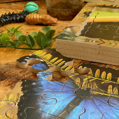 Butterfly Life Cycle Layered Puzzle