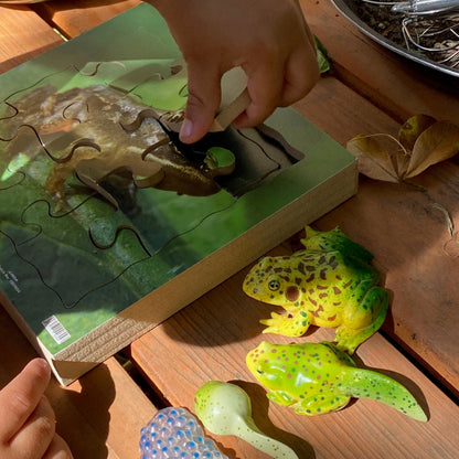 Frog Life Cycle Layered Puzzle