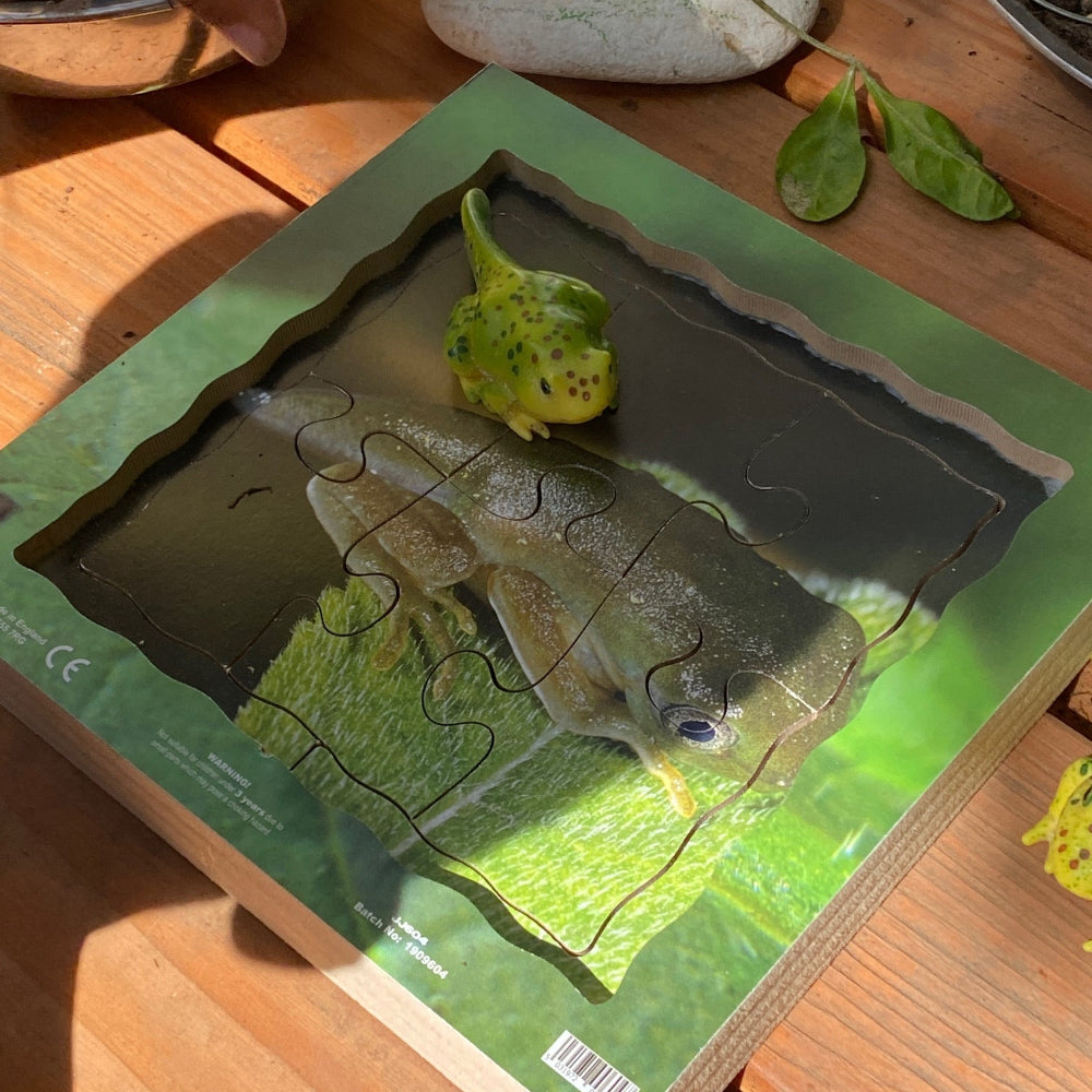 Frog Life Cycle Layered Puzzle