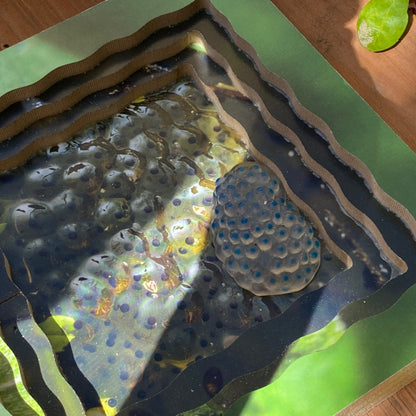 Frog Life Cycle Layered Puzzle