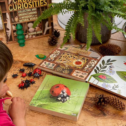 Ladybird Life Cycle Layered Puzzle