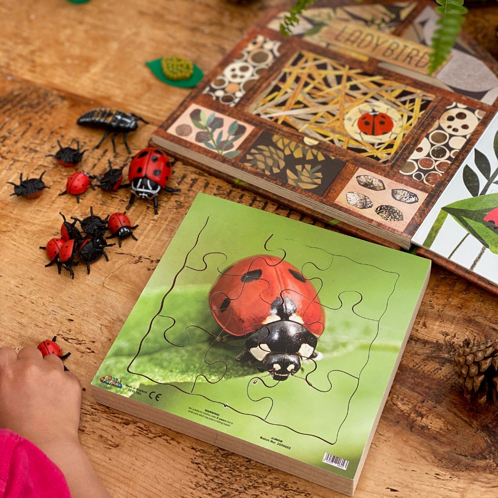 Ladybird Life Cycle Layered Puzzle