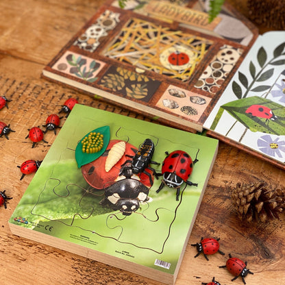 Ladybird Life Cycle Layered Puzzle