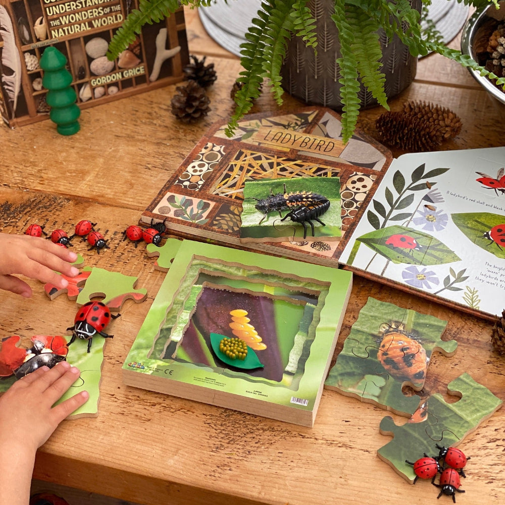 Ladybird Life Cycle Layered Puzzle