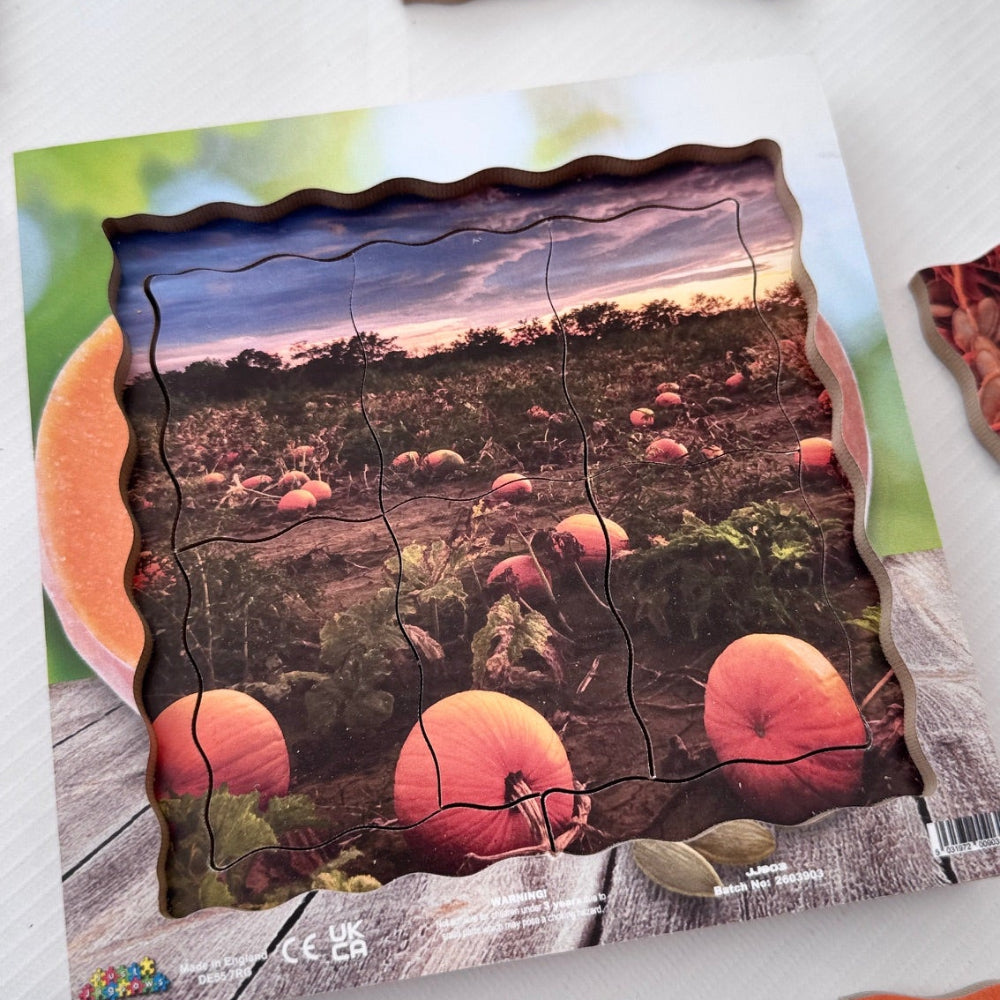 Pumpkin Life Cycle Layered Puzzle